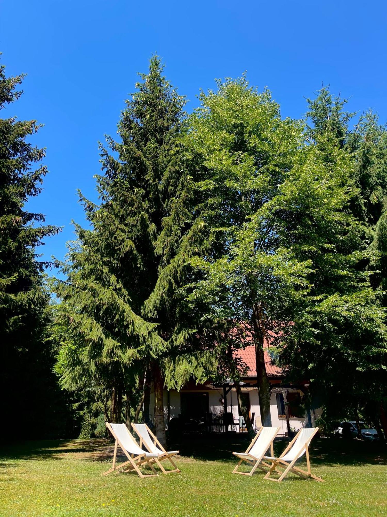Villa Sielanka Kretowiny Extérieur photo